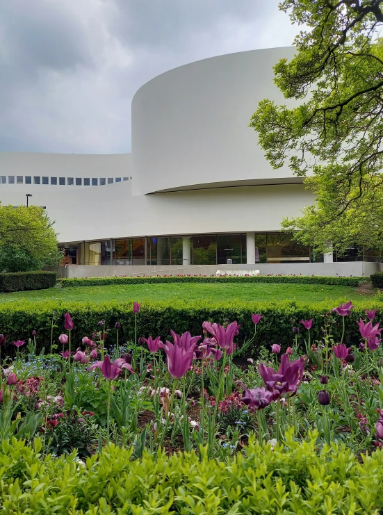 flowers and plants outside the building near the walkway