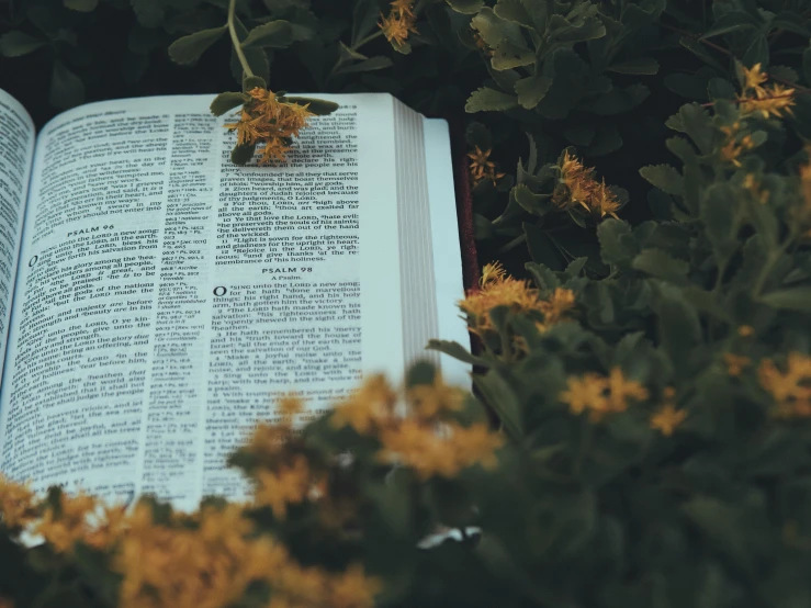 an open book on a table surrounded by yellow flowers