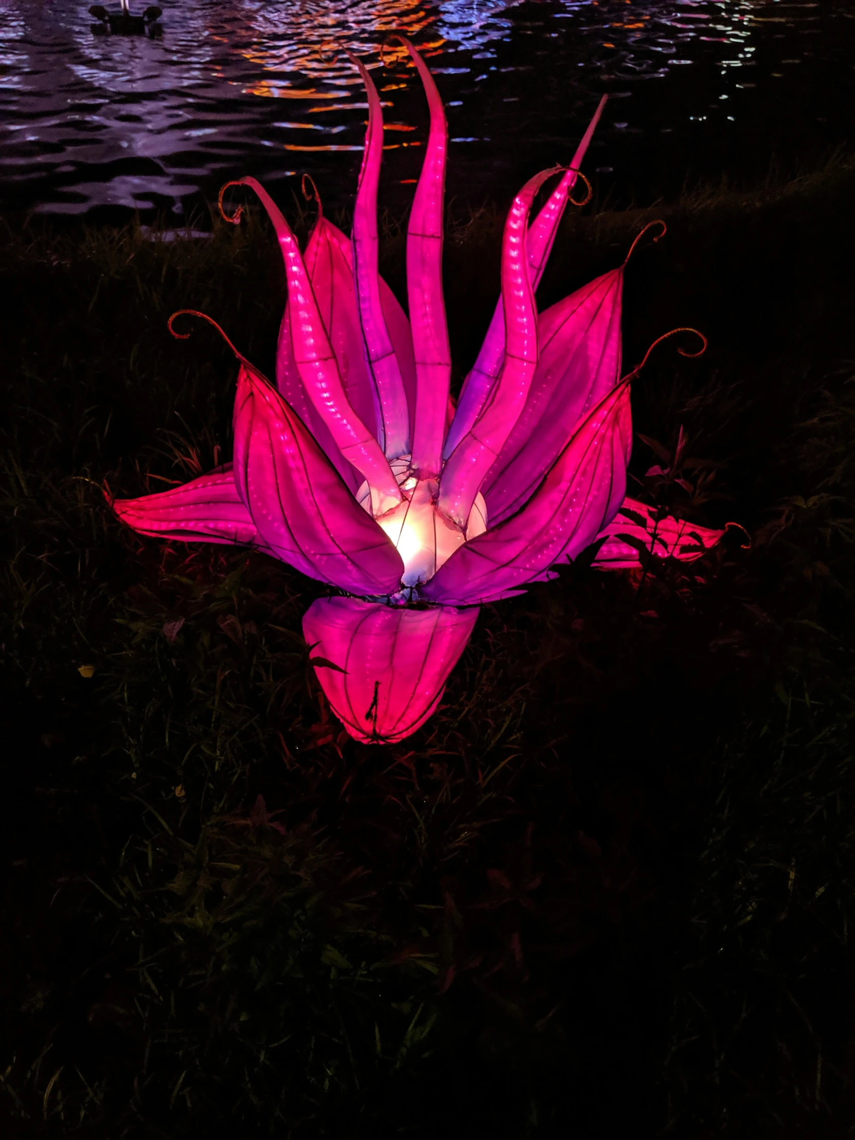 an object sitting in water with it's petals lit up