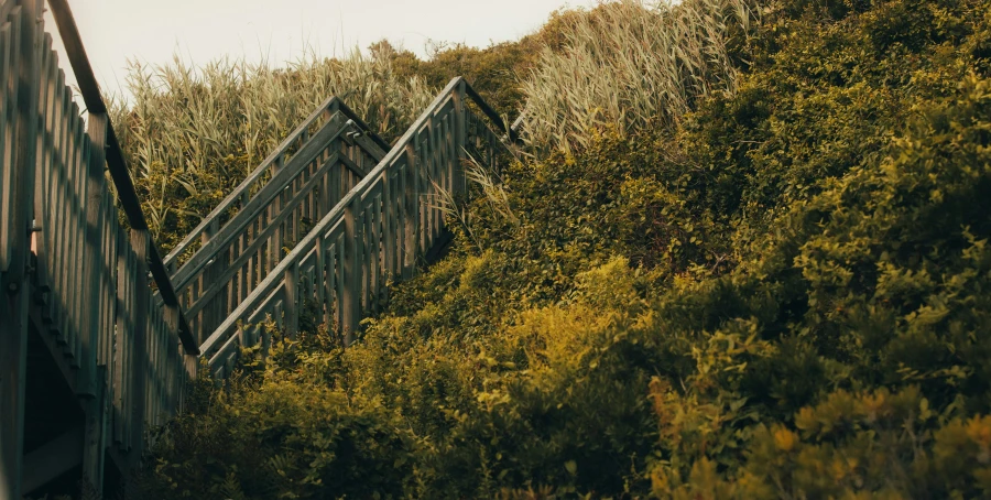 a view down a hillside with stairs to nowhere