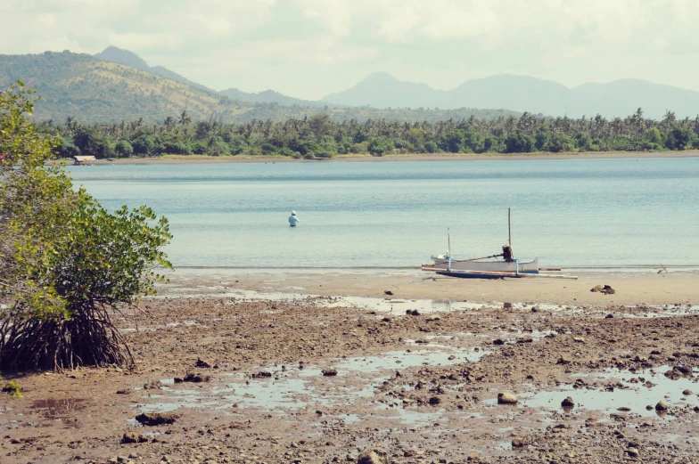 boats out in the lake sitting near shore