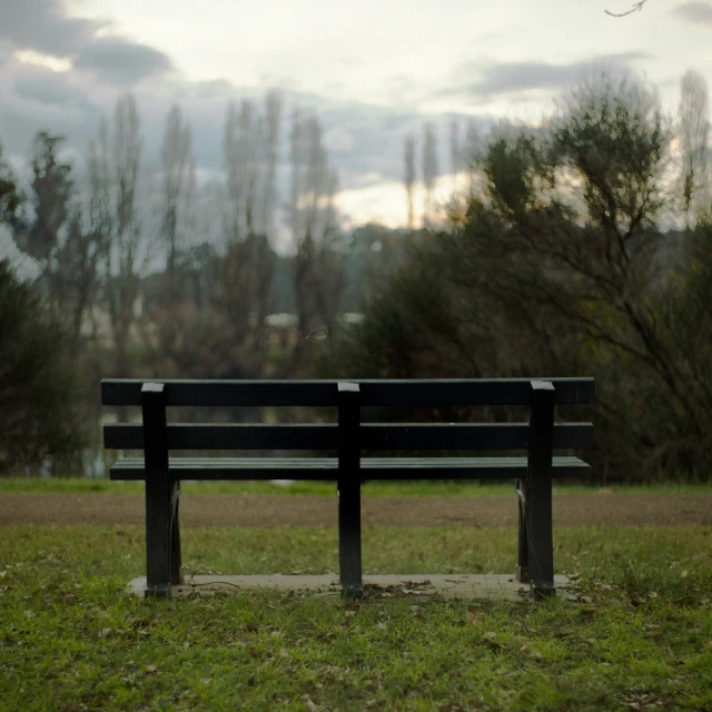 an empty wooden bench in a park next to trees