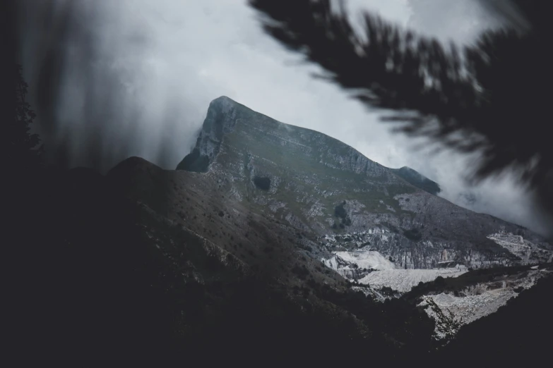 a large mountain covered in snow next to a forest