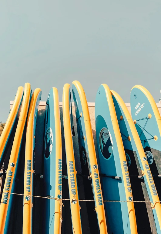 several surfboards are standing upright near each other