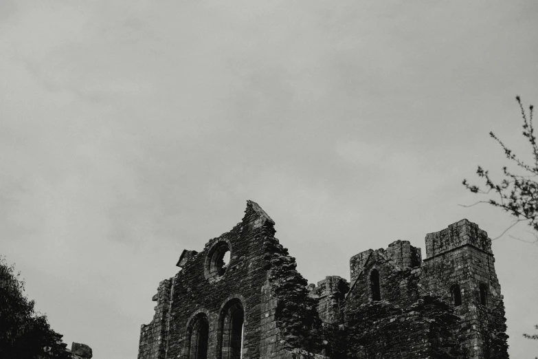 a black and white po of a castle with trees in the foreground