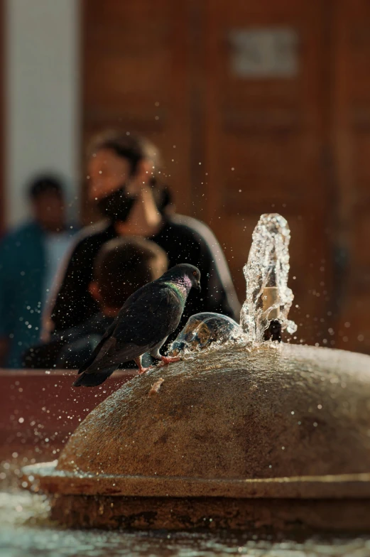 a bird sits on top of a fountain in front of people