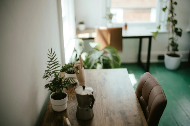 the plant is next to a door and a window