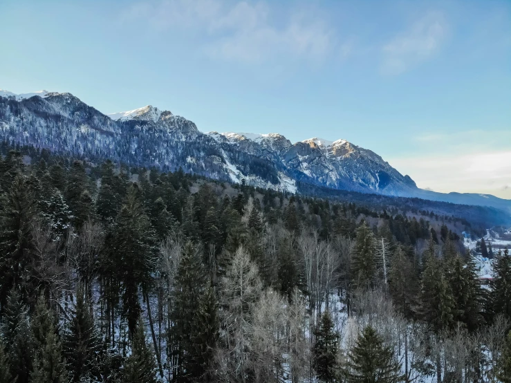 a blue and clear sky a mountain and some trees