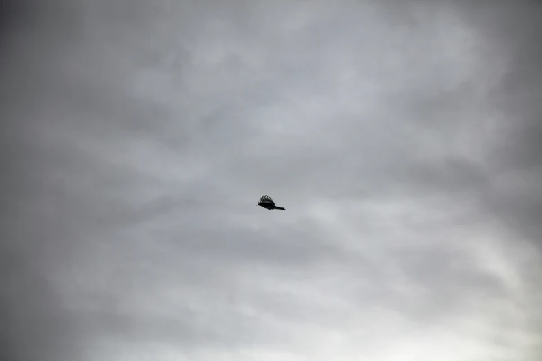 a jet flying through a cloudy sky with no clouds