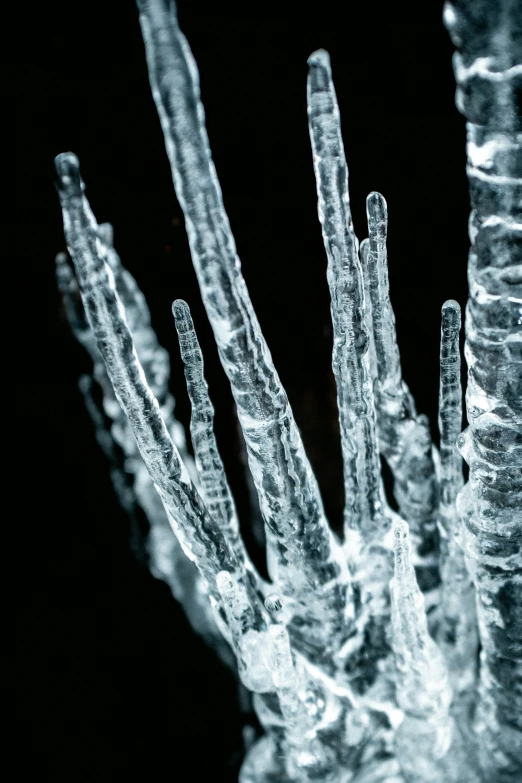 an up close s of a frozen plant stem