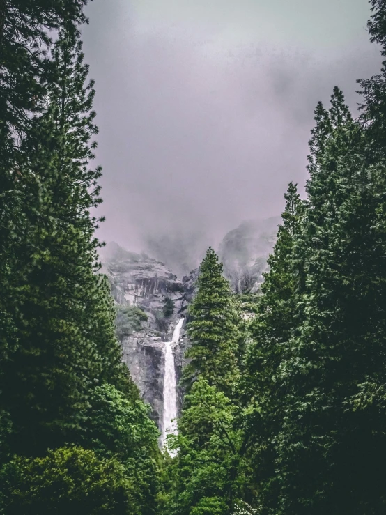 a waterfall running over a forest next to tall trees