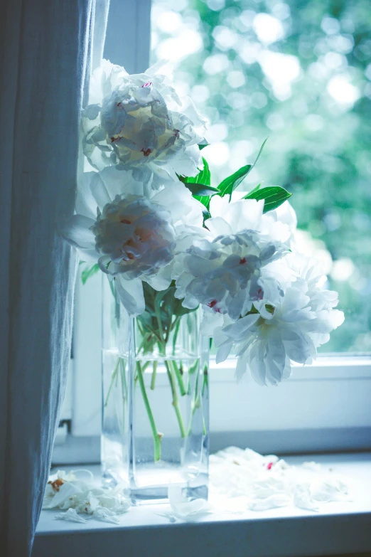 a vase filled with white flowers on top of a window sill