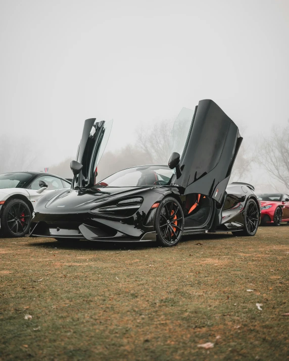 an exotic looking car parked in the grass