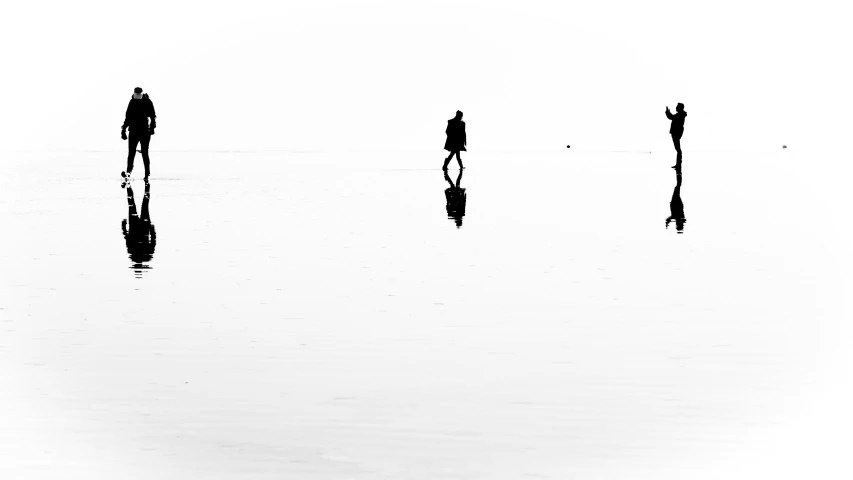 three birds are walking on the water in the sunset