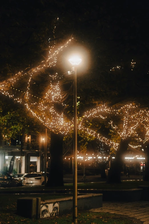 people sit at the edge of a park at night