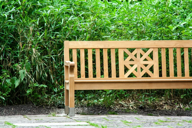 a bench near some green plants and trees