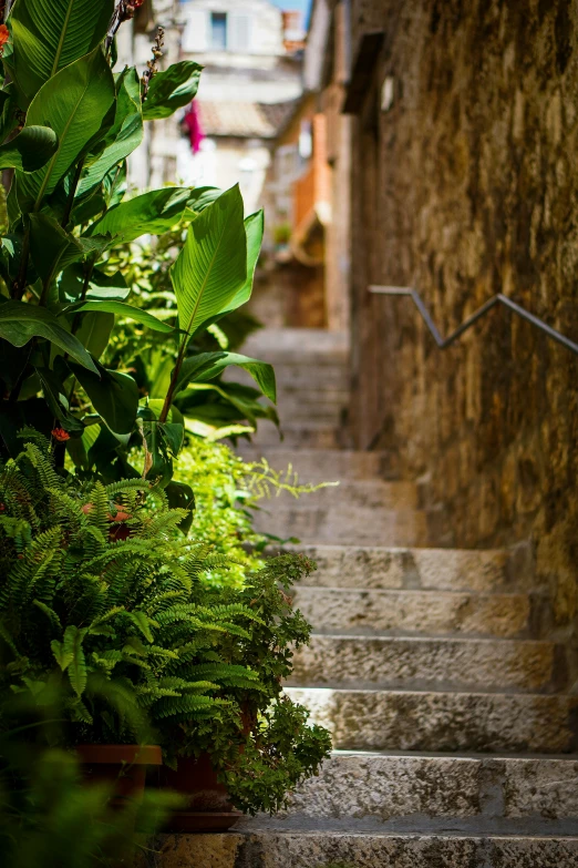 an alleyway, leading to a garden in a city