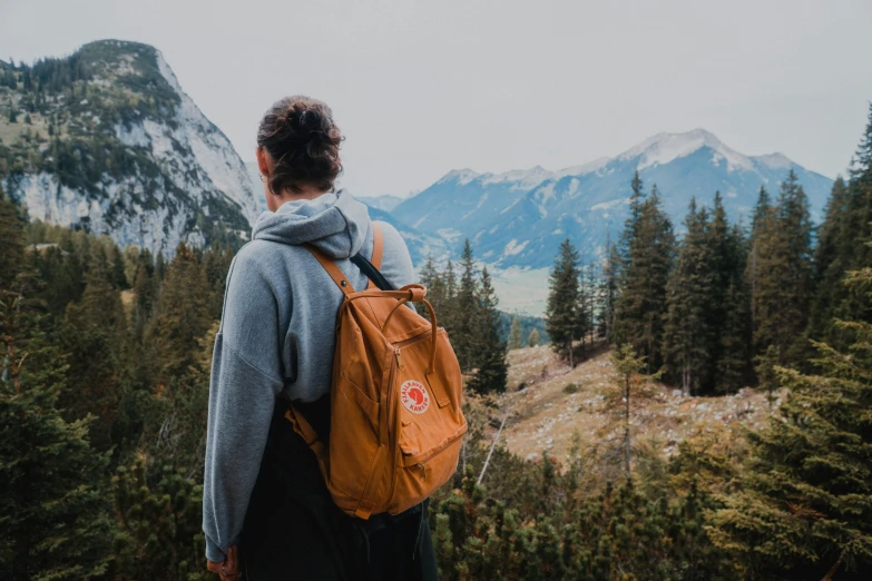 a person on a mountain looks out over the mountains