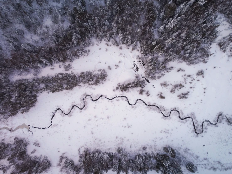 snow covered field and ground with trees