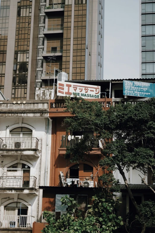 tall buildings and trees in the city