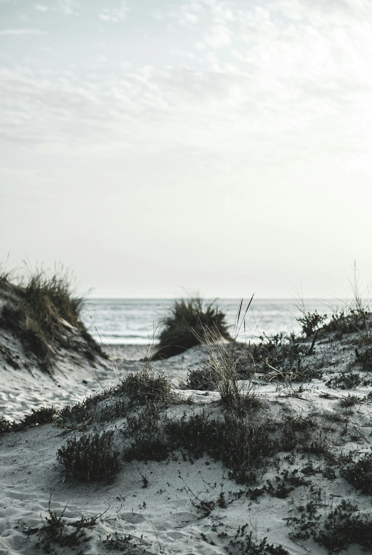 a bench sitting on the beach under a partly cloudy sky