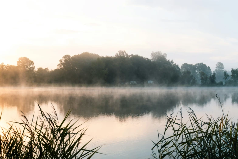 fog covers a lake on a sunny day