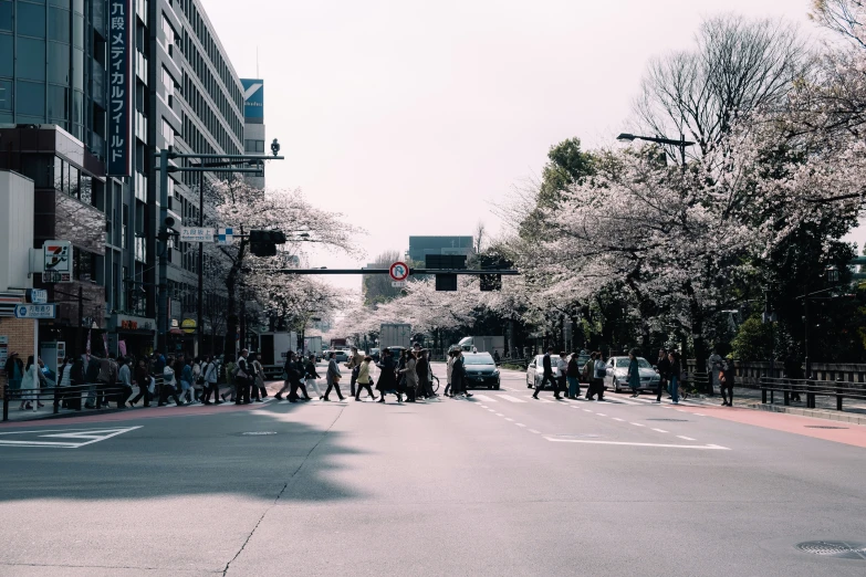 people crossing the street on a spring day