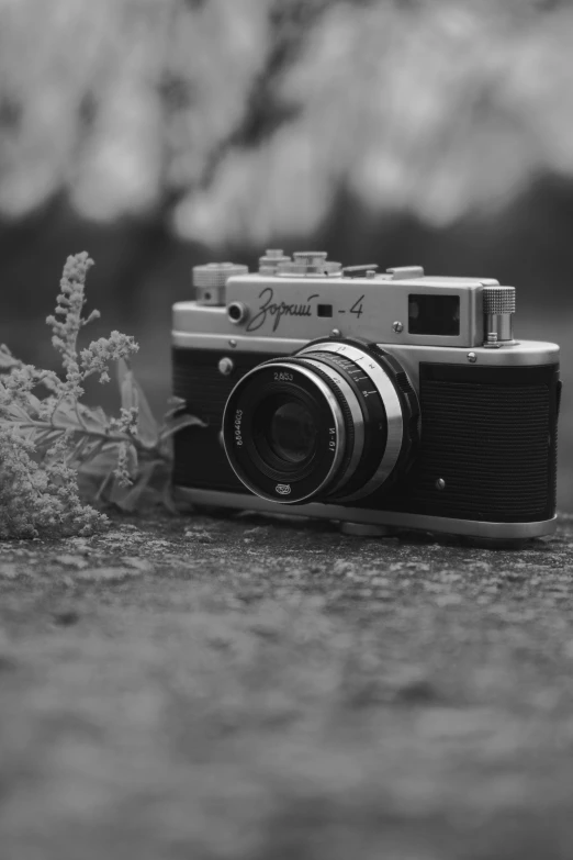 a camera sitting on the ground next to some plants