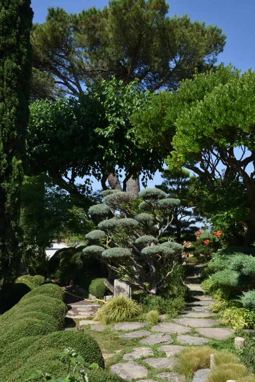 there is a bench in the middle of a walk way surrounded by trees and shrubs