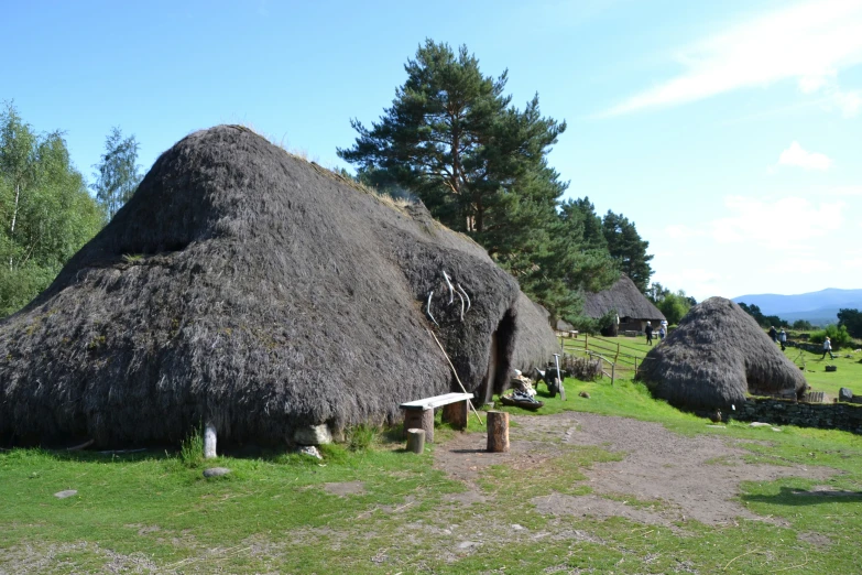 a grass hut with thatched roof in a small town