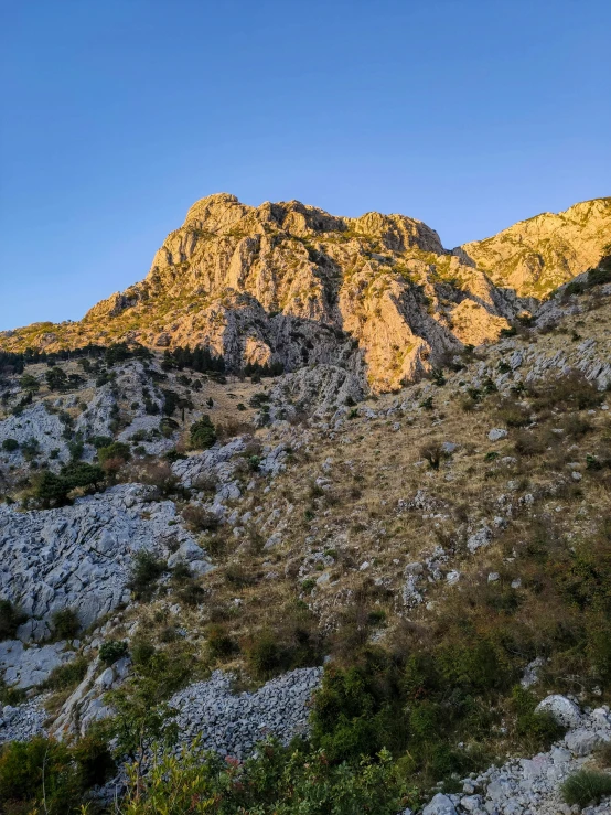 there is a very small hill that has many small vegetation