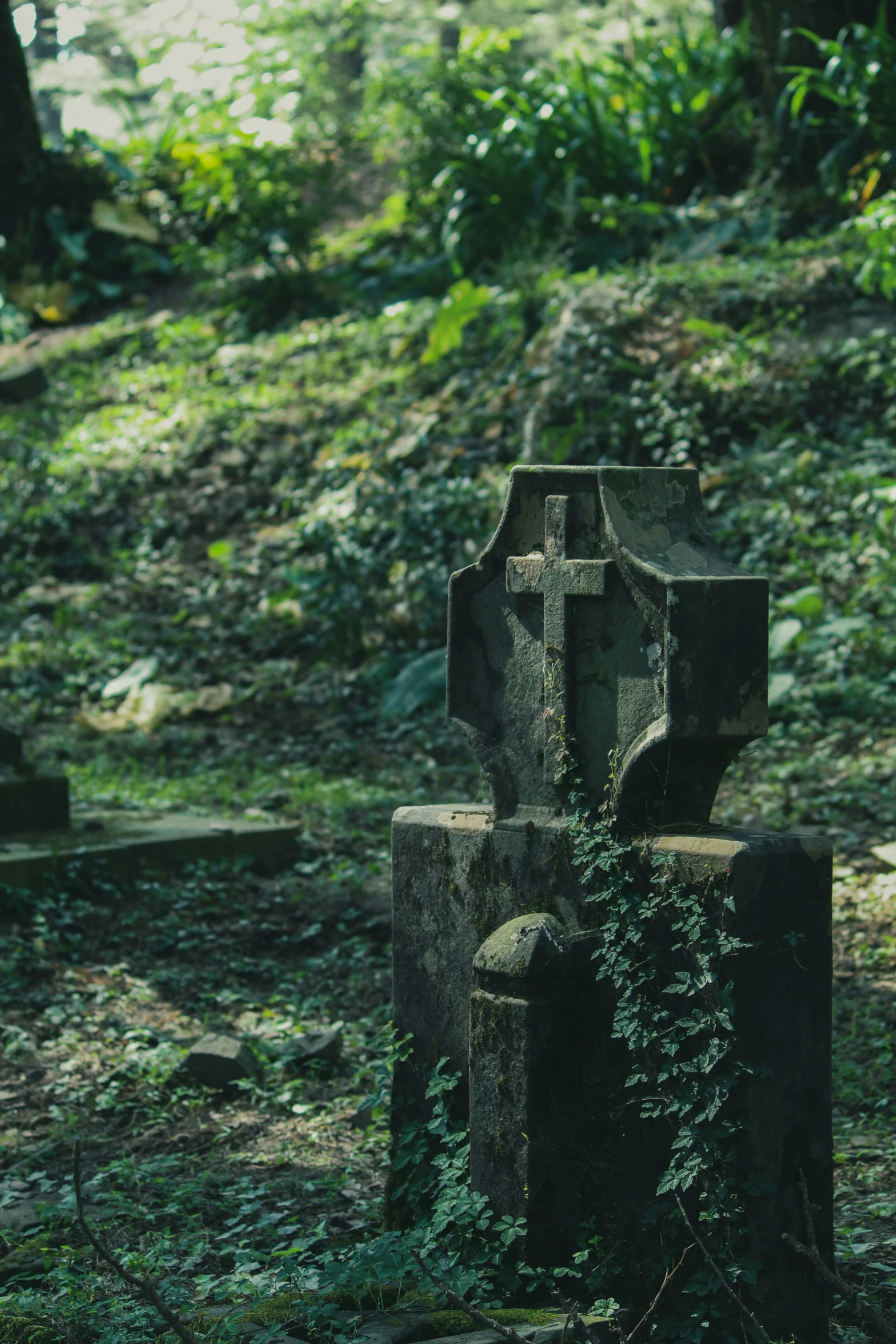 a bunch of graveyards in some grass and some trees