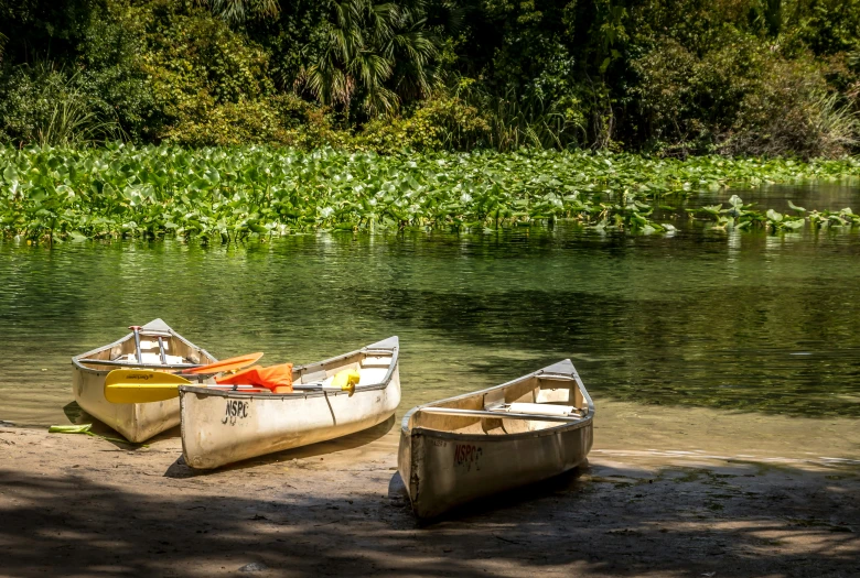 a pair of boats sitting in the shallow waters