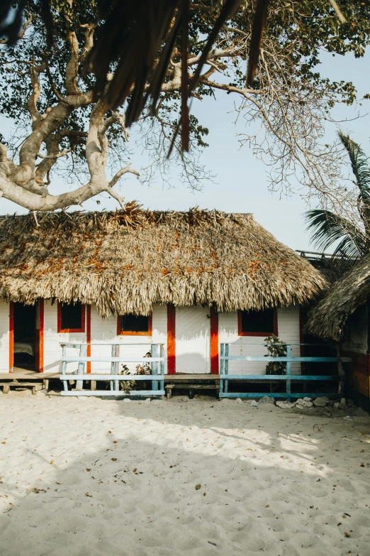 two thatched huts with red shutters sit in the sand under a large tree