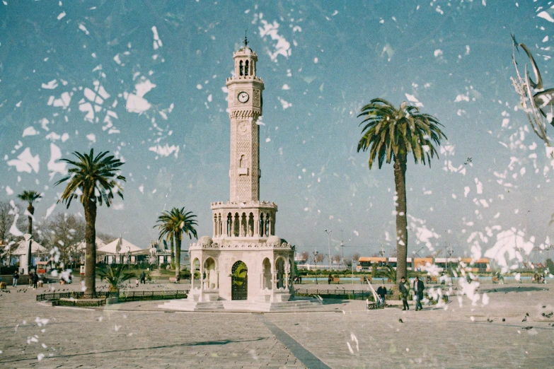 a city park in the sun and palm trees