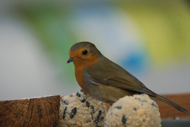 a small bird is sitting on top of a decorative piece of artwork