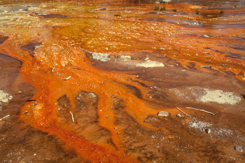 a river with yellow liquid in it