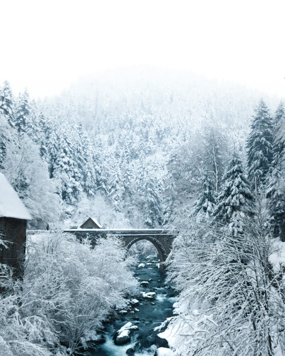 snow covers trees and houses next to a bridge