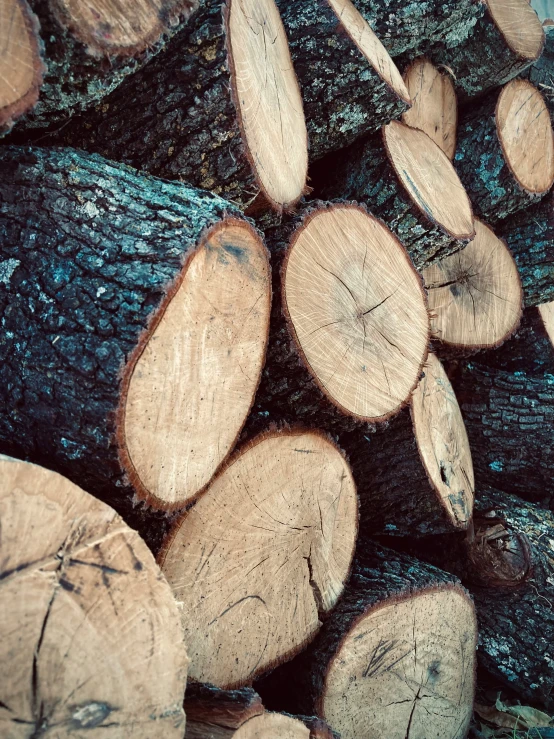 there are many logs that have been cut together