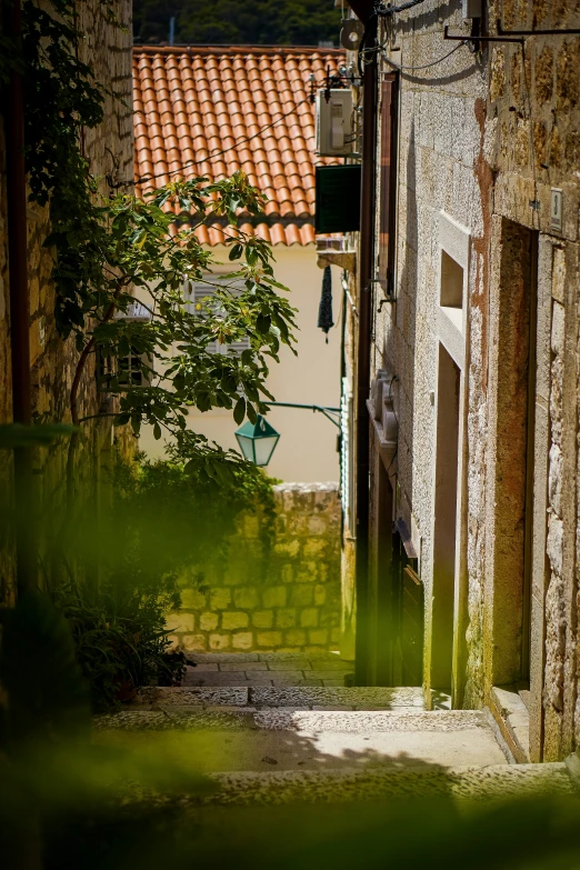 an alley way leads up to a house