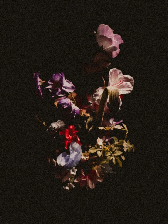 a bouquet of different types of flowers with dark background