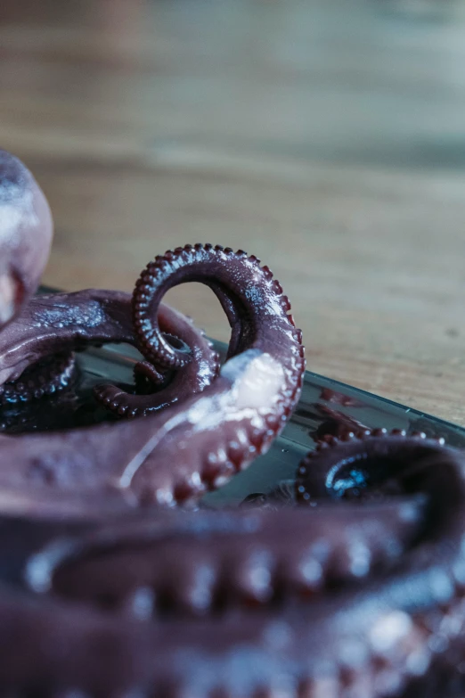 an octo lying on top of an iron tray