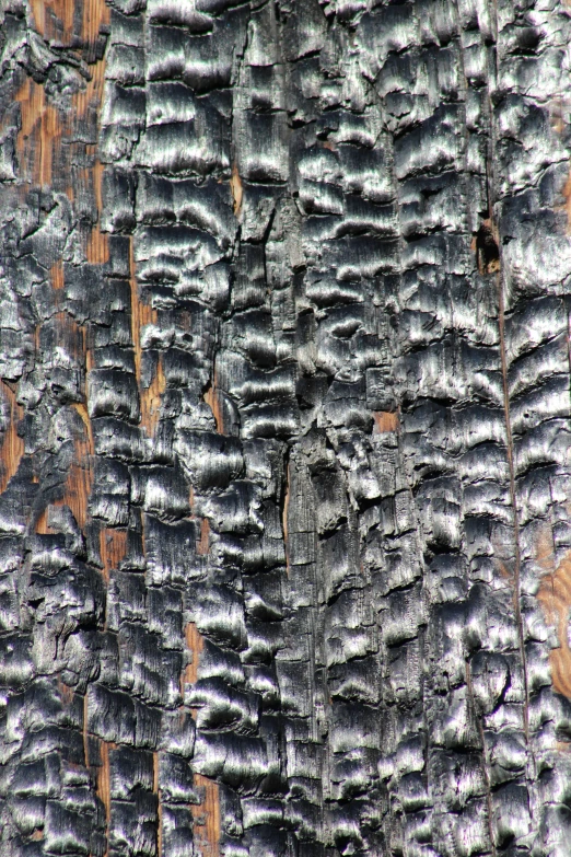 textured paint and brush on the top of a wood panel