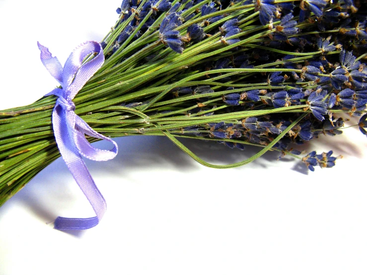 a bundle of lavender flowers tied to each other