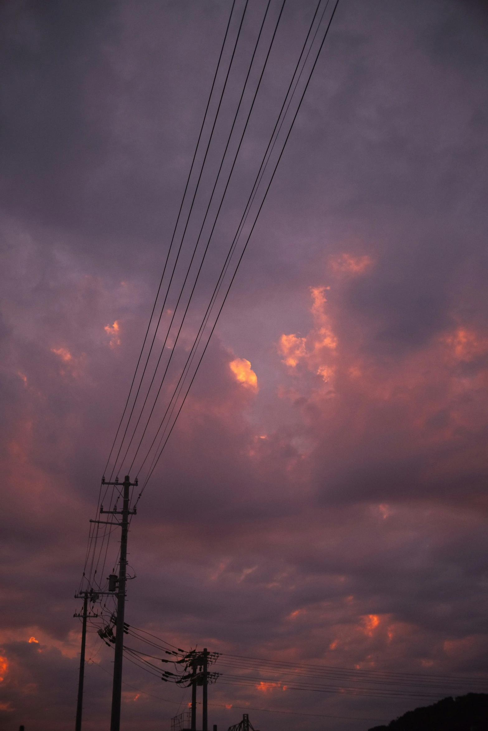 the electrical lines and utility poles against a pink and purple sky