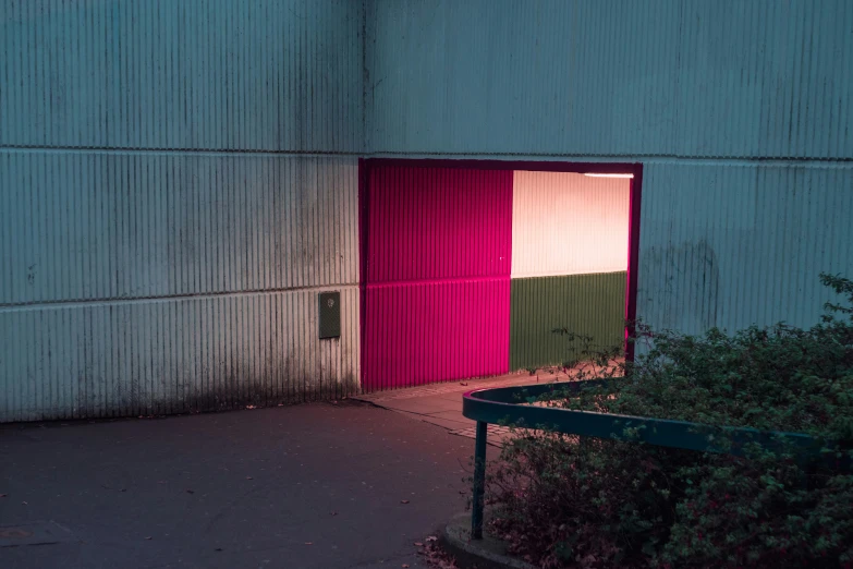 an open pink door next to a green plant