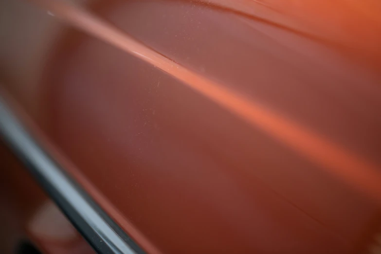 a cat looking out of a car window