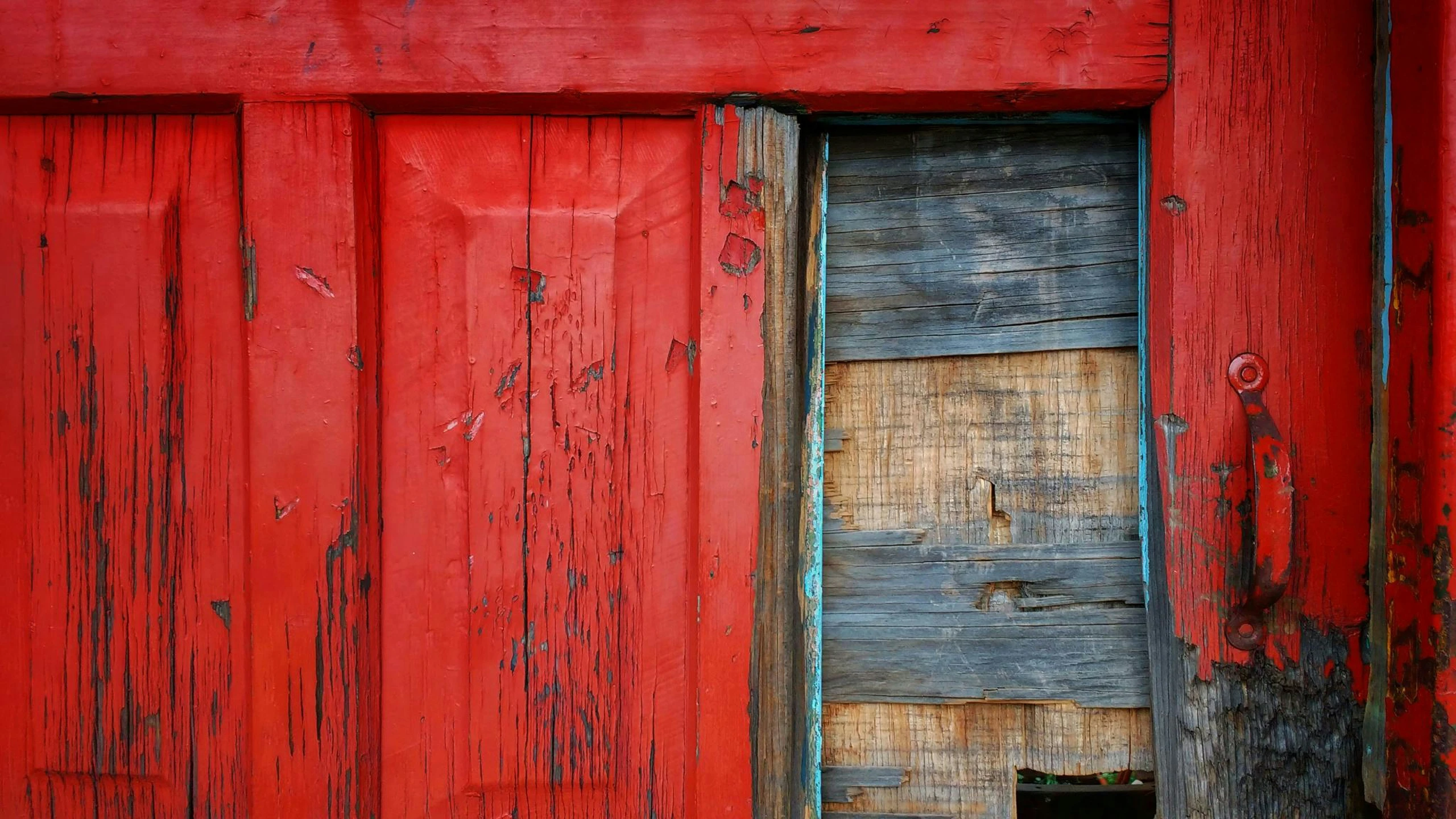 the wooden door is open to allow the cat to be moved