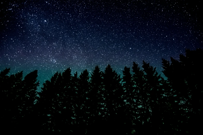 a night sky filled with stars and forest silhouettes
