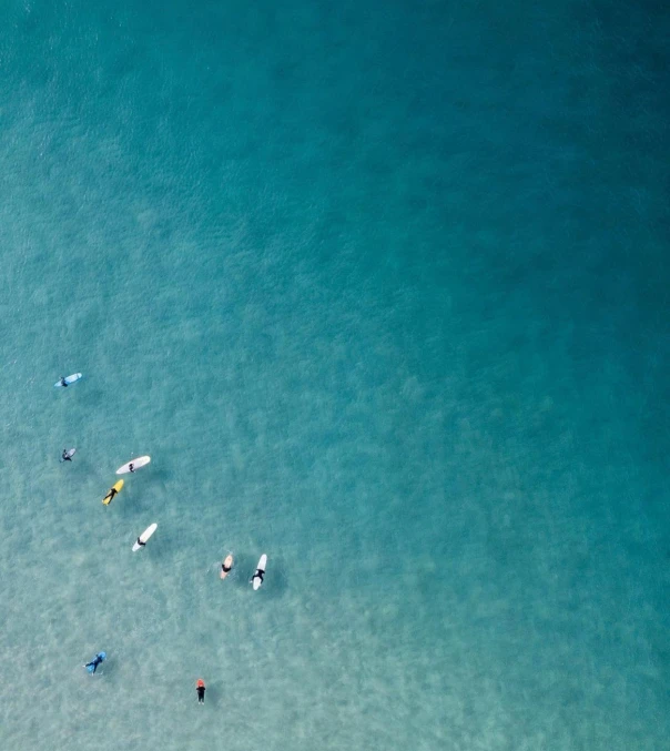 several people carrying boards in the blue ocean